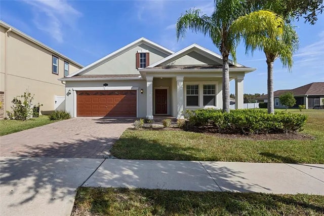 19485 Paddock View Drive, TAMPA