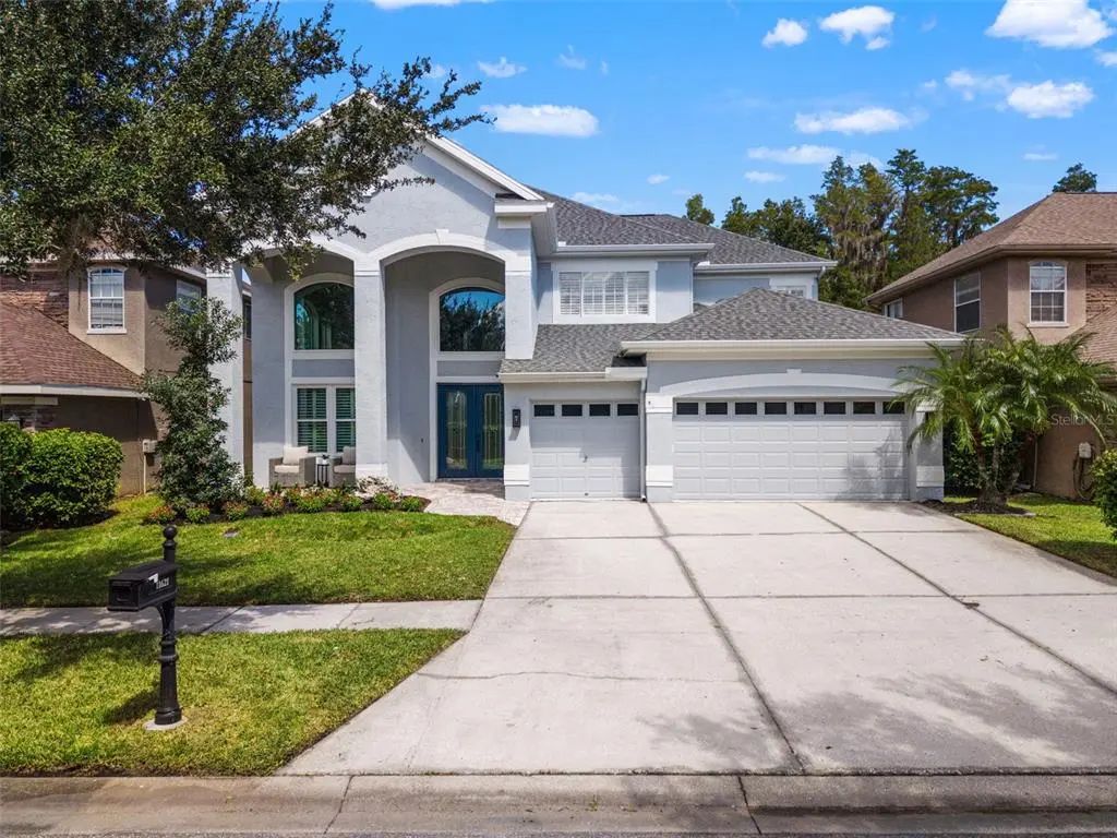 11621 Renaissance View Court, TAMPA