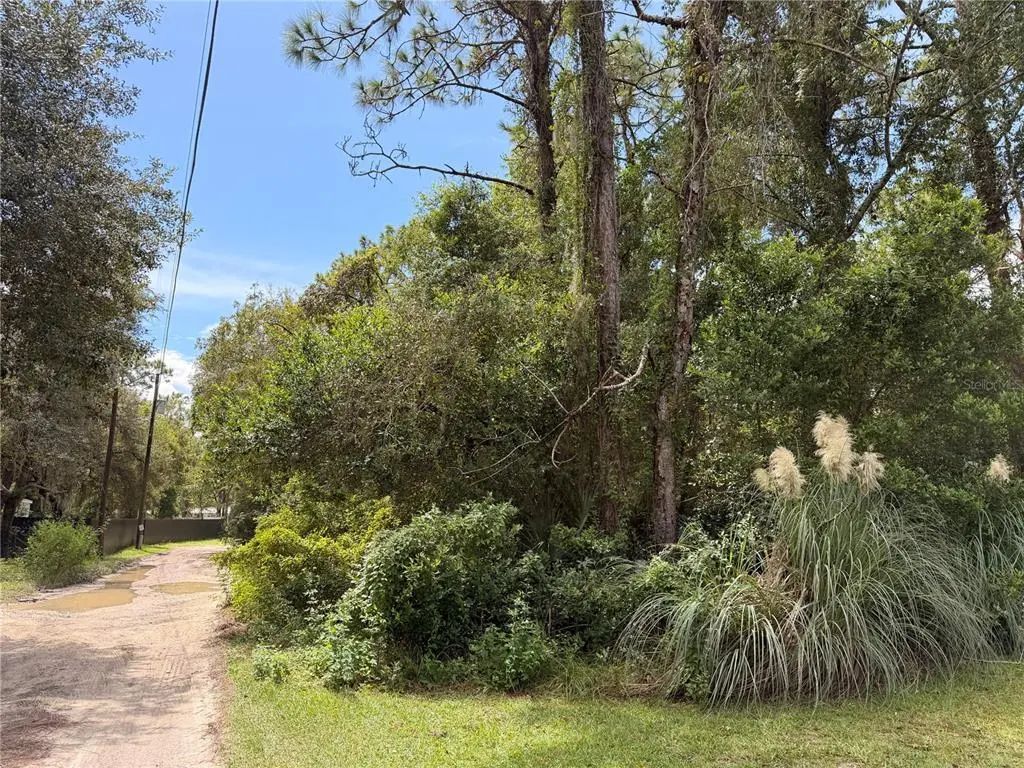 5710 S Leopard Point, HOMOSASSA