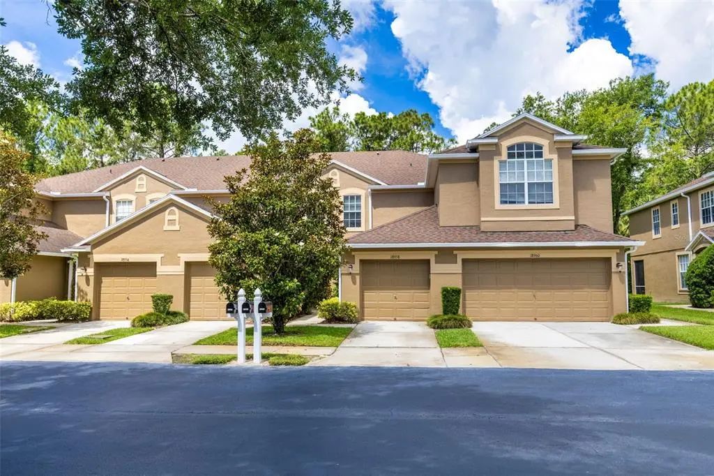 18958 Duquesne Drive, TAMPA
