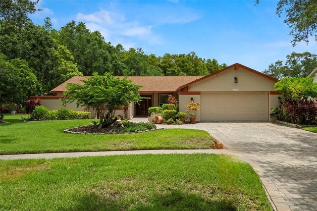 4208 Carrollwood Village Drive, TAMPA