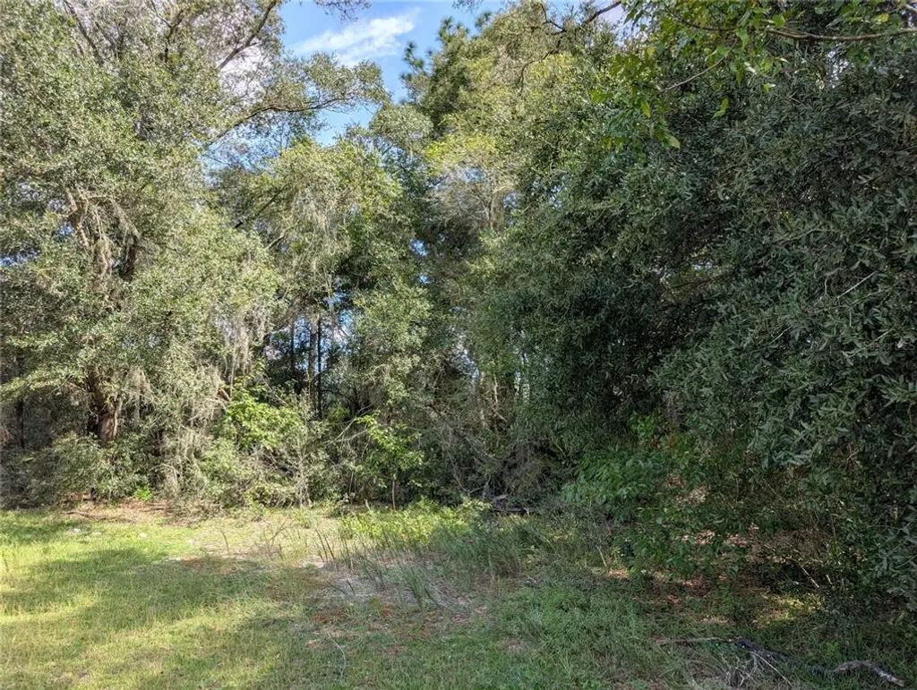 Tbd Sw 121st Avenue, DUNNELLON