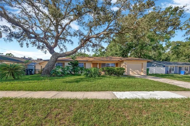 4429 Dolphin Drive, TAMPA