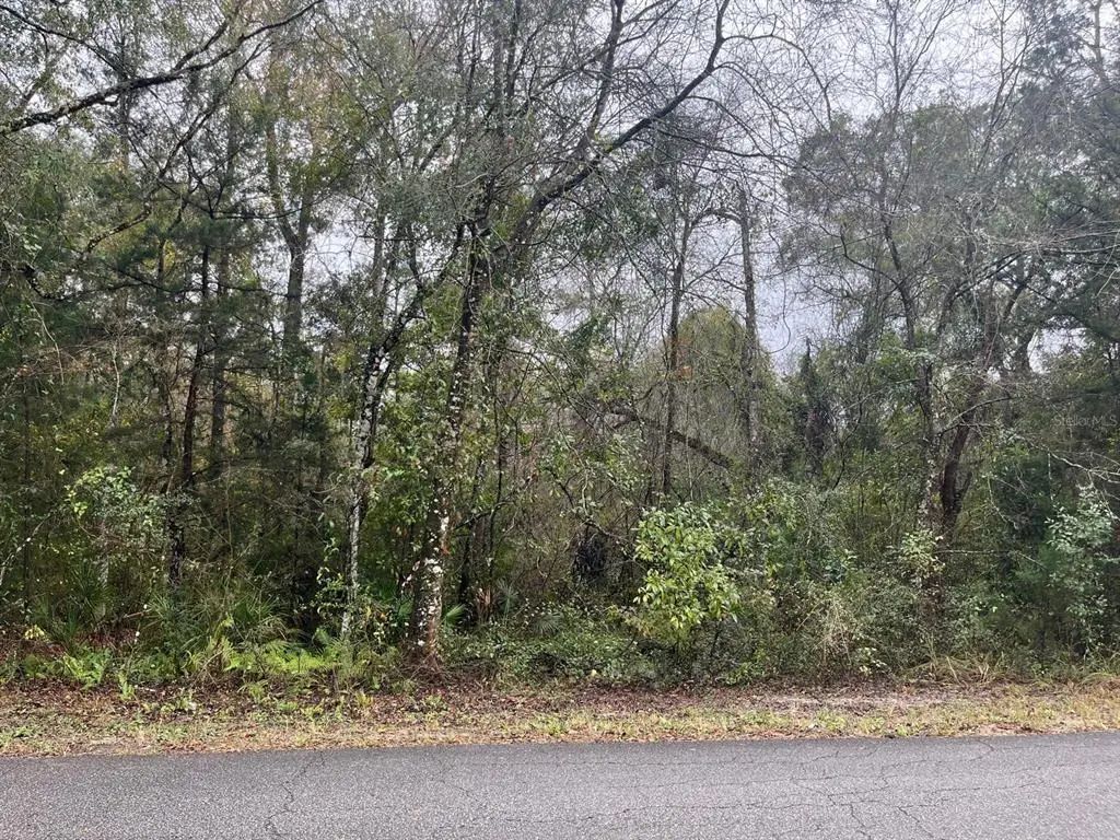 Nw 17 Place, OCALA