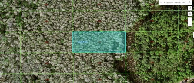 Sweet Hill Rd, POLK CITY