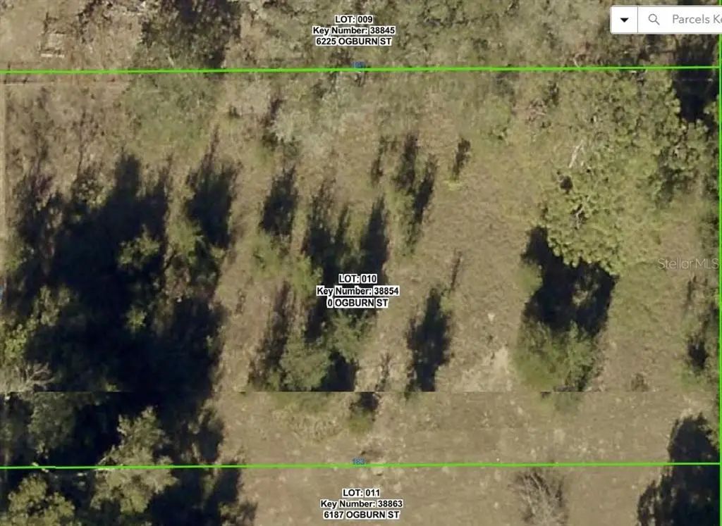 Ogburn Street, BROOKSVILLE