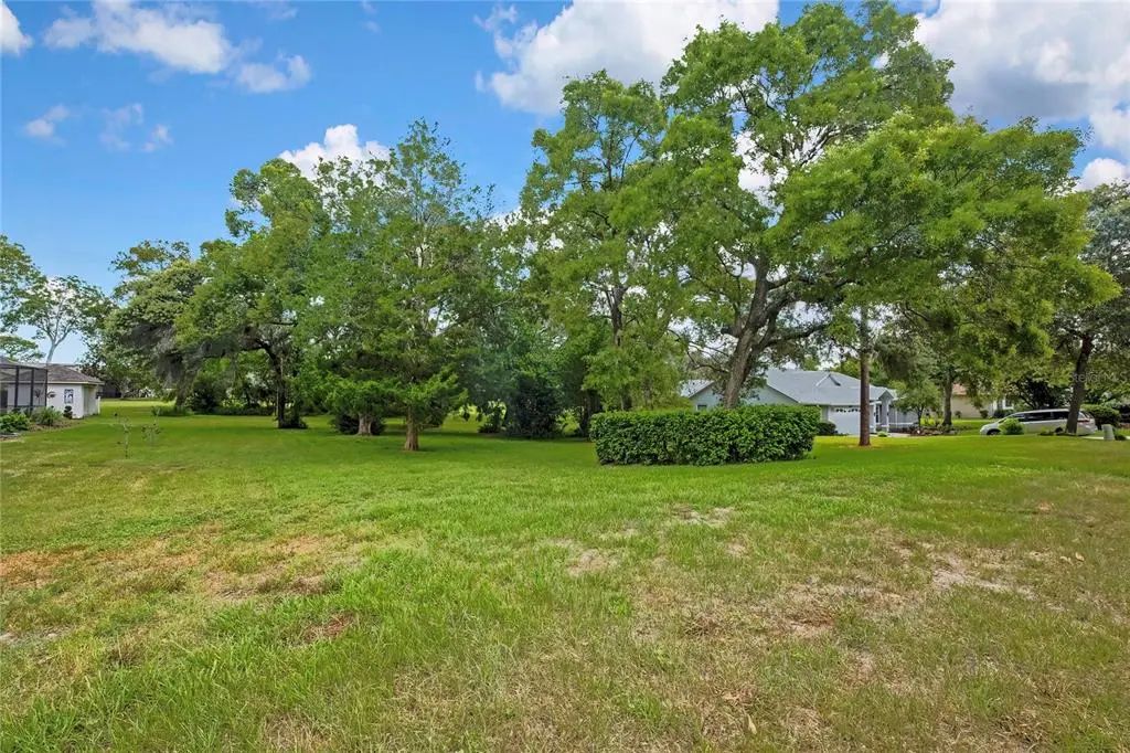 Orangewood Court, SPRING HILL