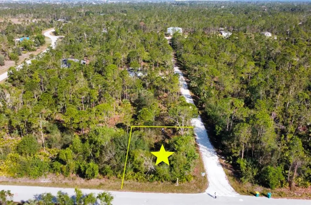 12355 Graffiti Drive, PUNTA GORDA