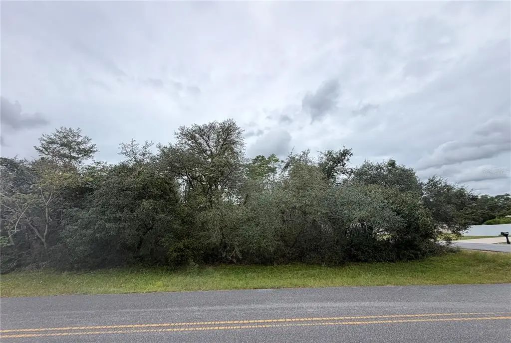 Marion Oaks Golf Way And 166th Place Road, OCALA