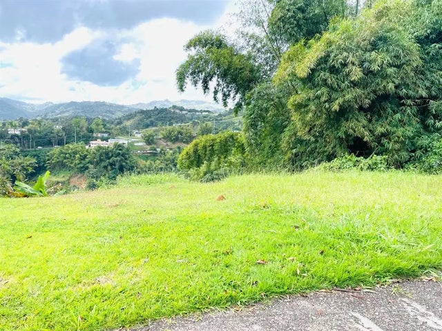 Carr. 155 Km 30.9 Int, Bo. Gato, OROCOVIS