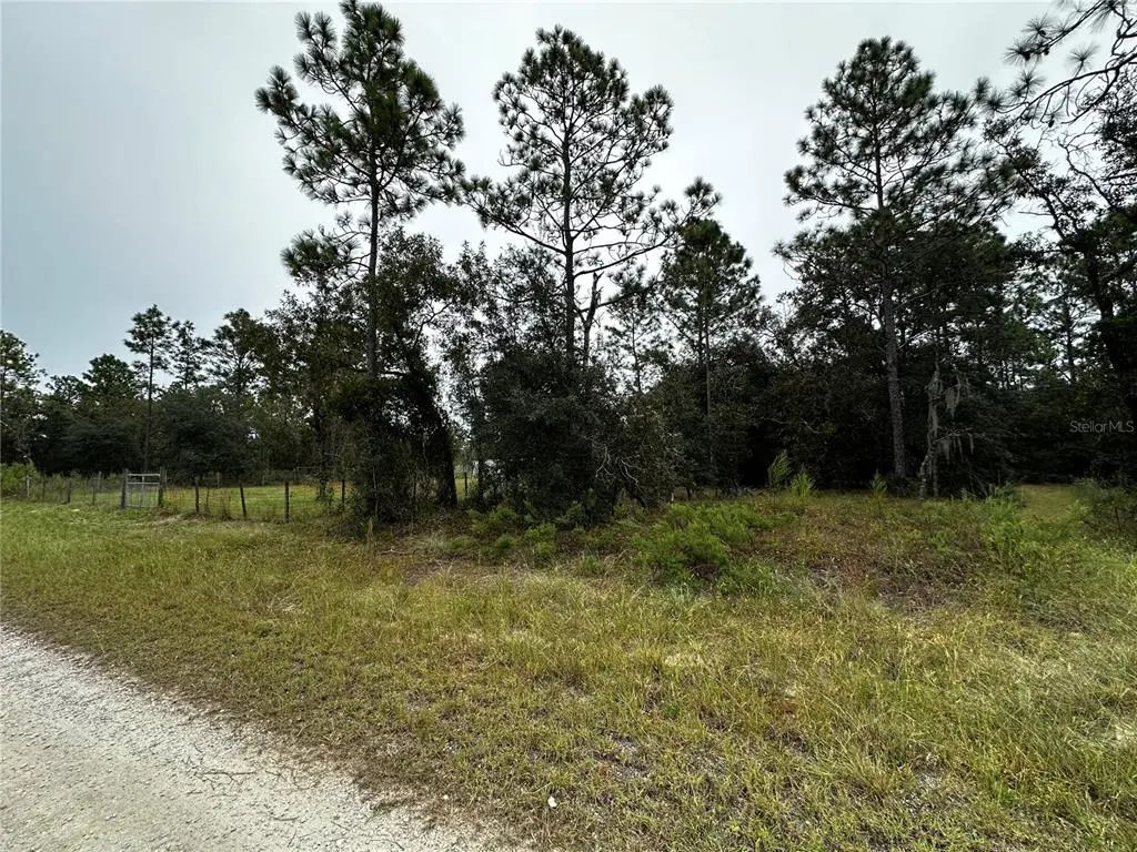 Tbd Se 136th Avenue, DUNNELLON