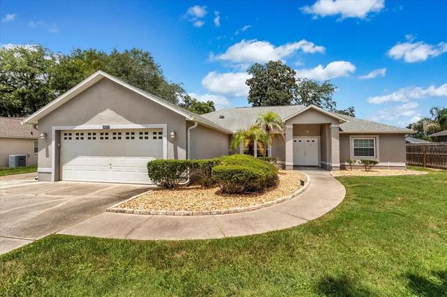 10217 Spring Moss Avenue, CLERMONT