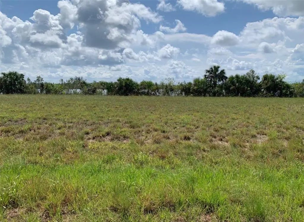 Photo of Listing #O6351440