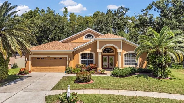 27045 Silverleaf Way, WESLEY CHAPEL