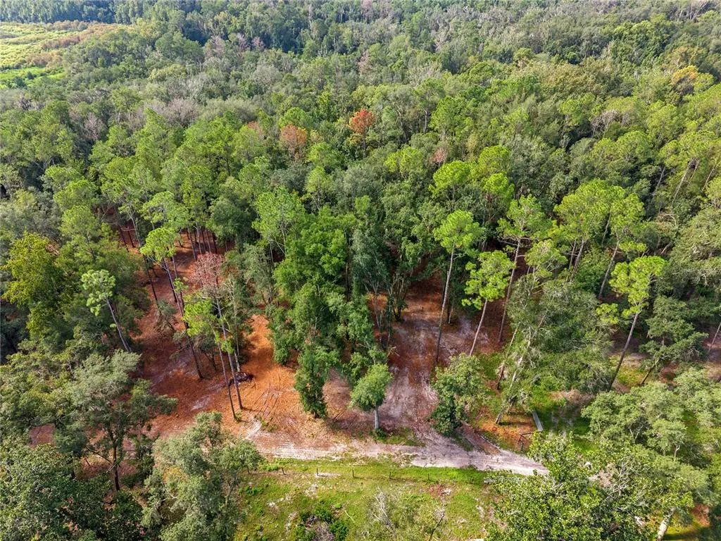 1050 Katie Wood Trail, BROOKSVILLE
