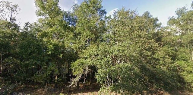 262 Cypress Street, INTERLACHEN