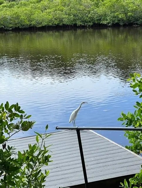 5275 Miller Bayou Drive, PORT RICHEY