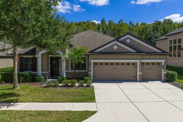 7911 Hampton Lake Drive, TAMPA