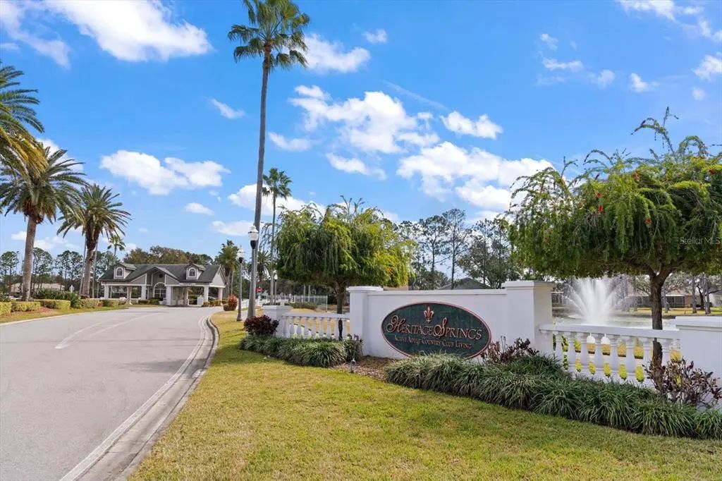 1237 Rambling Vine Court, TRINITY