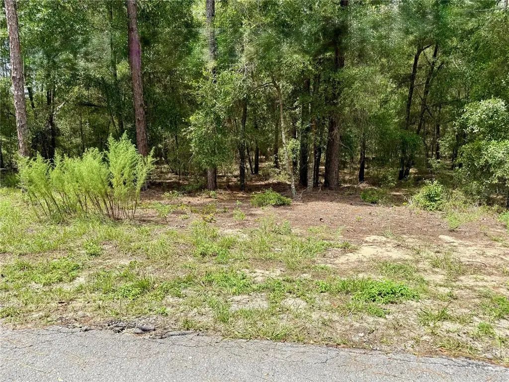 Sw 205th Circle, DUNNELLON