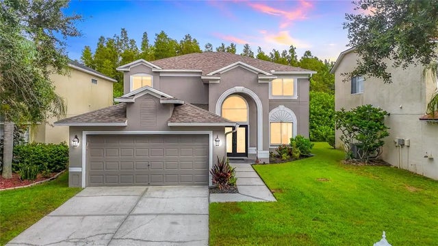 4219 Harbor Lake Drive, LUTZ