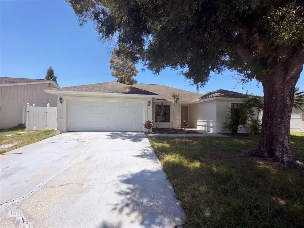 9507 Letterstone Court, TAMPA