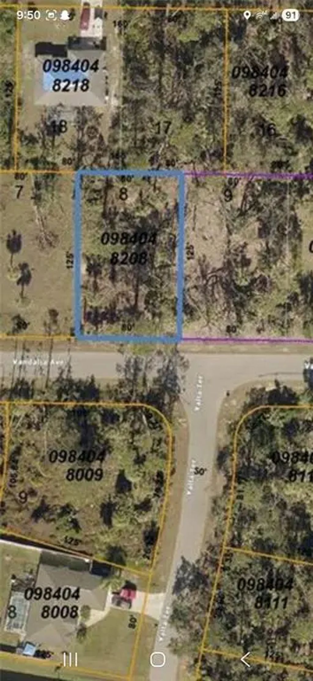 Vandalia Avenue, NORTH PORT