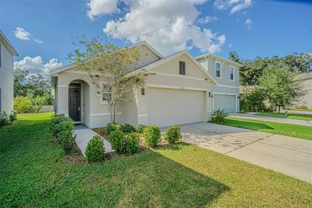 10853 Trailing Vine Drive, TAMPA