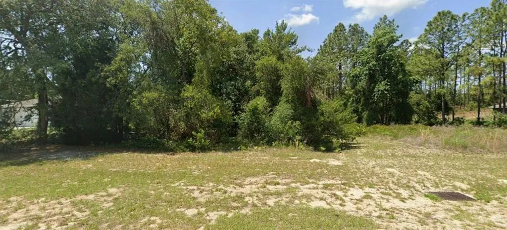 Tbd Sw 135 Street, OCALA