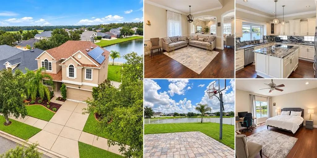 11117 Ancient Futures Drive, TAMPA