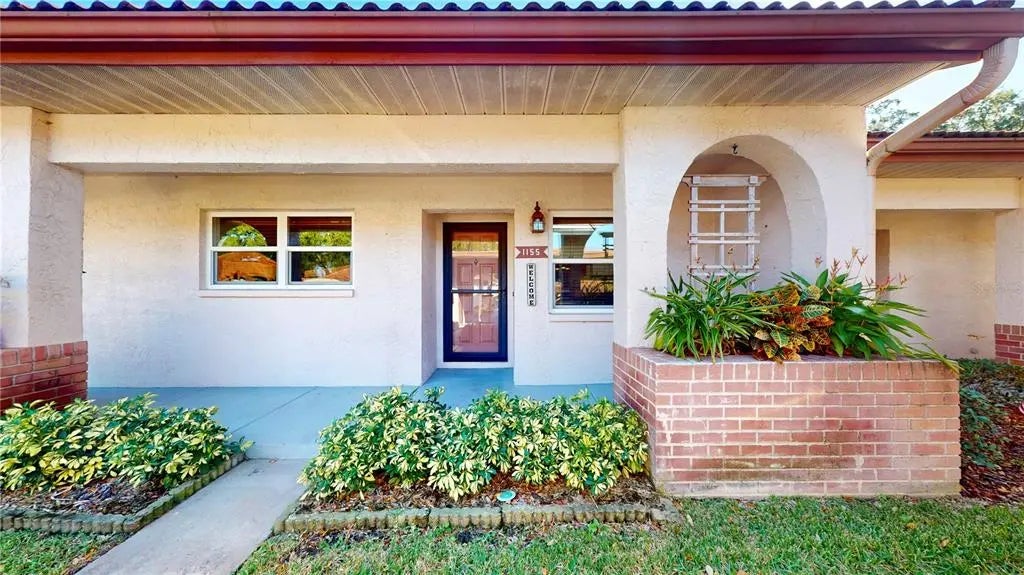 1155 Montrose Place, DUNEDIN