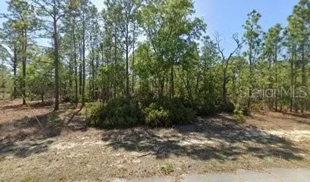 10584 N Inez Terrace, Dunnellon