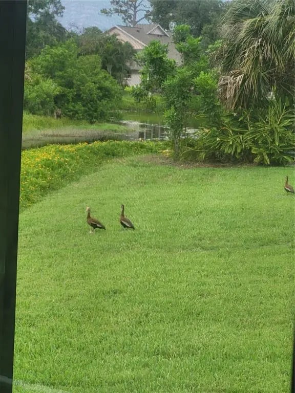 Gulf Shores Realty: 48 06df14d4815987b3122db44b0787ff4b l