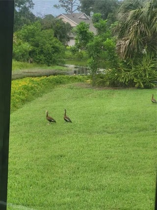 Gulf Shores Realty: 48 06df14d4815987b3122db44b0787ff4b s