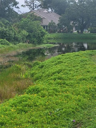 Gulf Shores Realty: 8 c4e06c78fe67cb1e96162eeb70faacd1 s