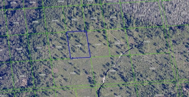 International Drive, ORLANDO