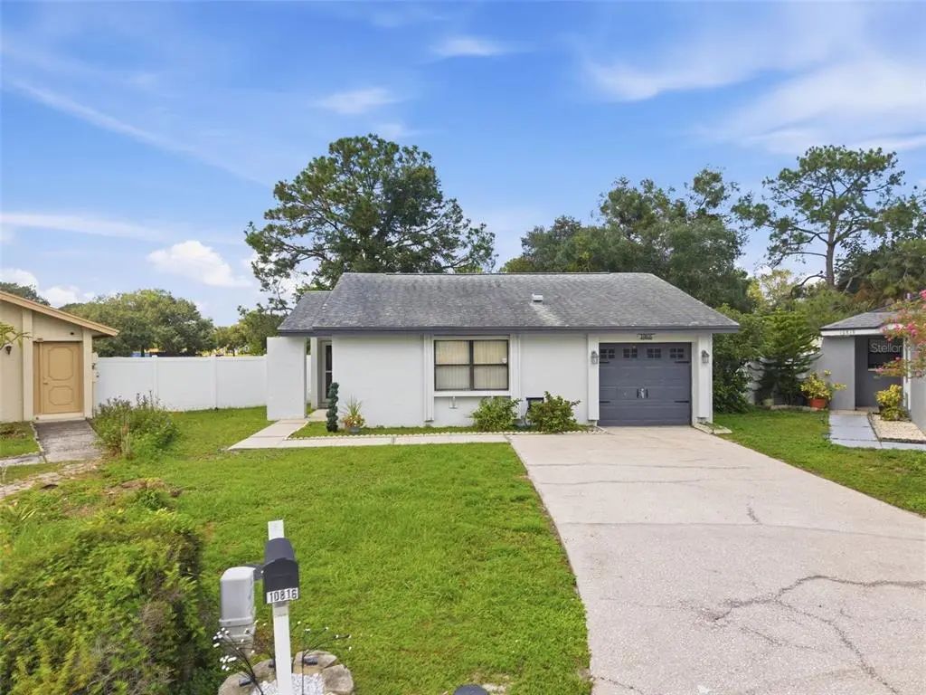 10816 Fairfield Village Drive, TAMPA