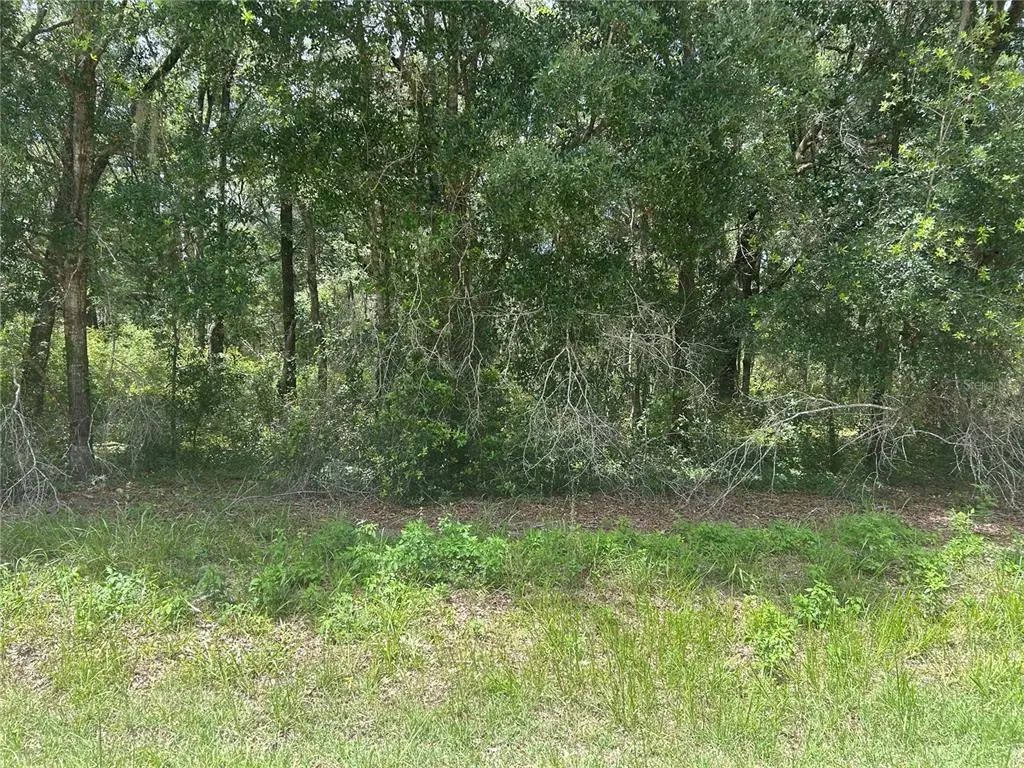 Sw 111 Lane, DUNNELLON