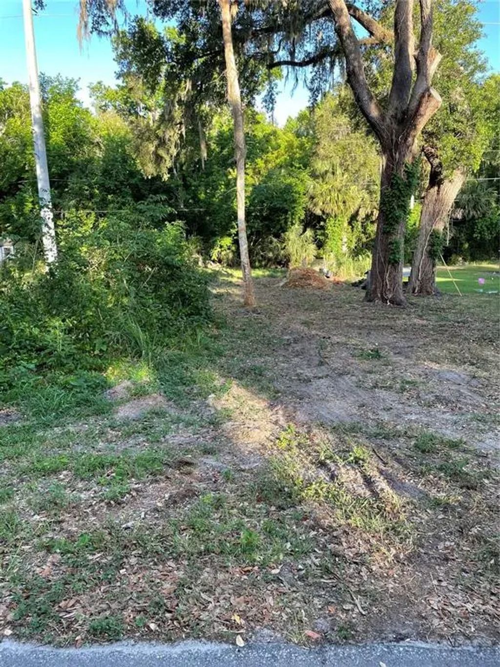 5320 Park Avenue, DE LEON SPRINGS