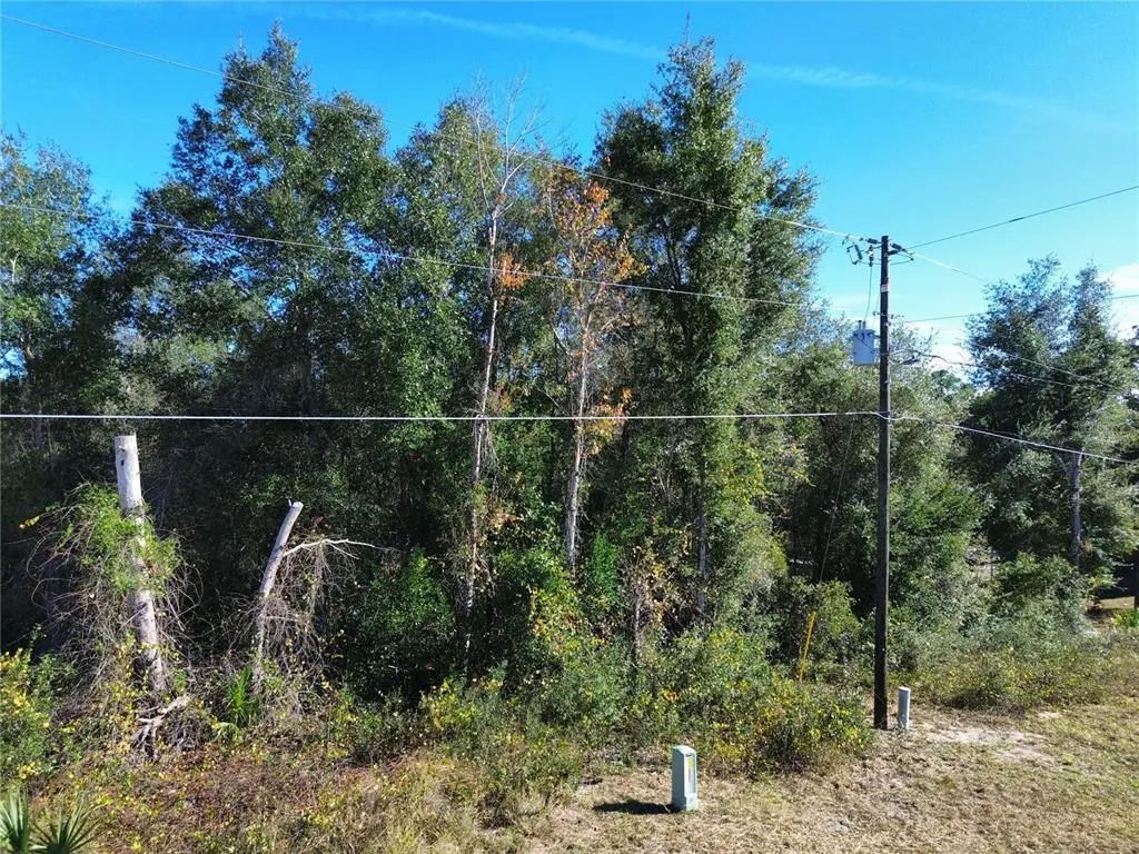Se 178th Avenue, SILVER SPRINGS