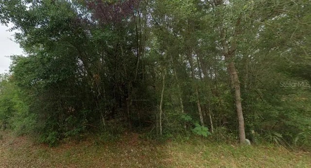 8681 N Catapane Loop, CRYSTAL RIVER