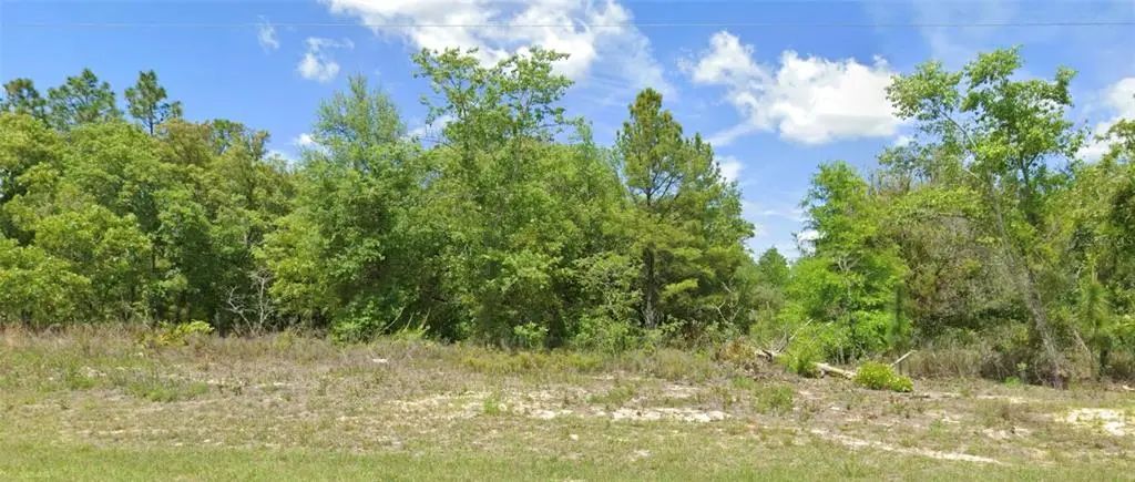6603 N Bedstrow Boulevard, CITRUS SPRINGS