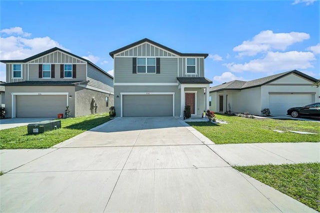 35542 Buttonweed, ZEPHYRHILLS