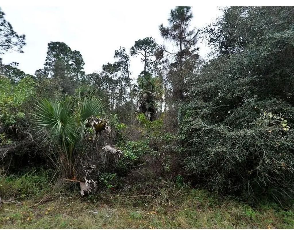 Kamain Road, NORTH PORT
