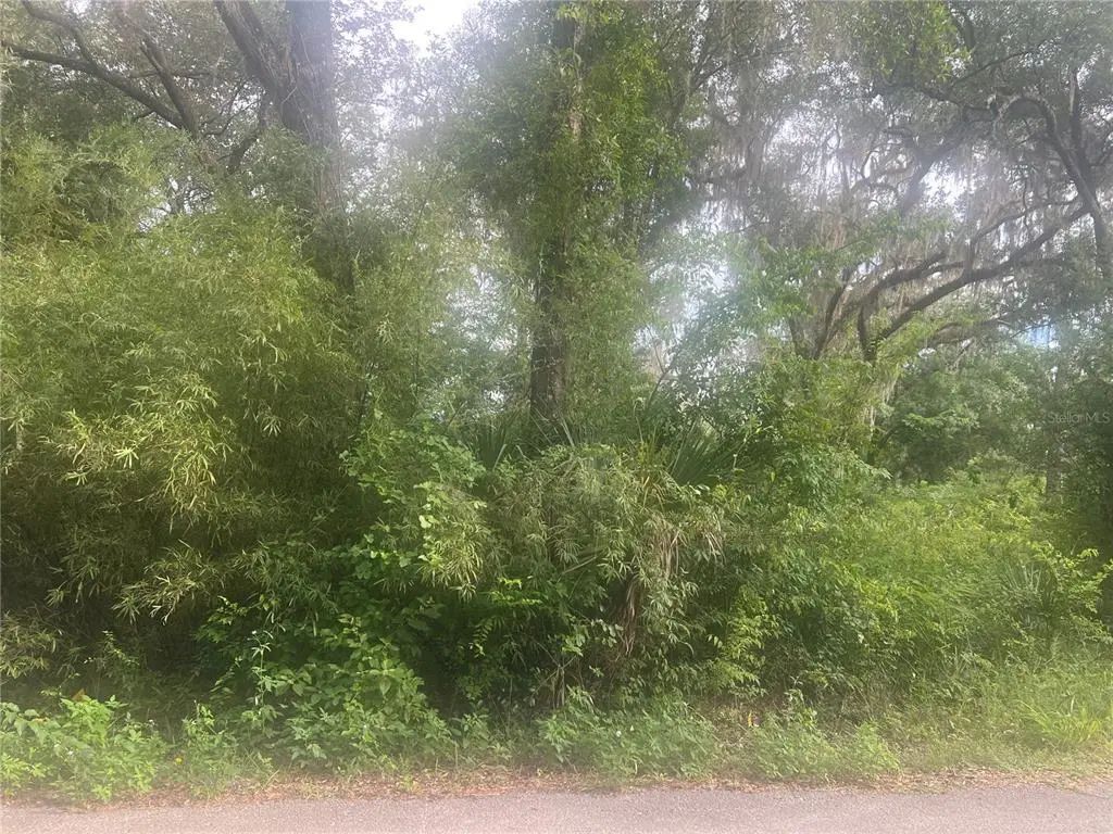 Ne 32nd Street, SILVER SPRINGS