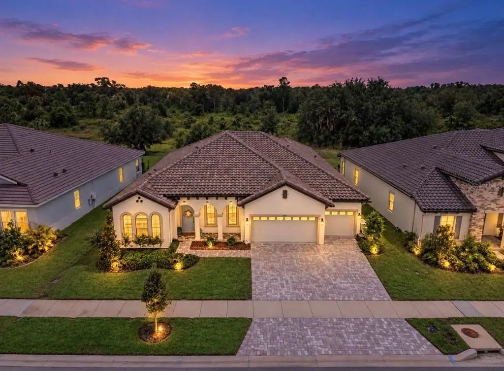 14537 Swiss Bridge Drive, LITHIA