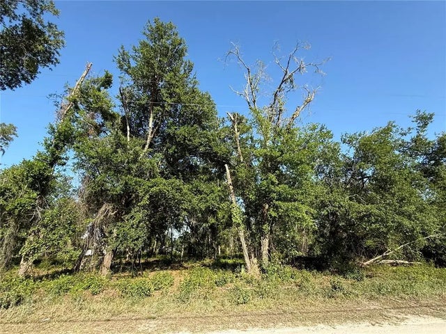 Null Owens Drive, ZEPHYRHILLS