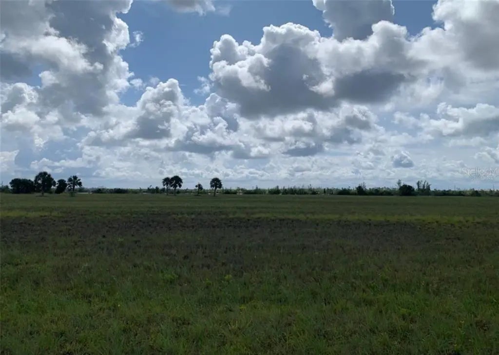 Photo of Listing #O6351436