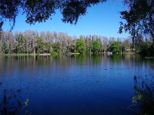 17017 Paula Lane, LUTZ