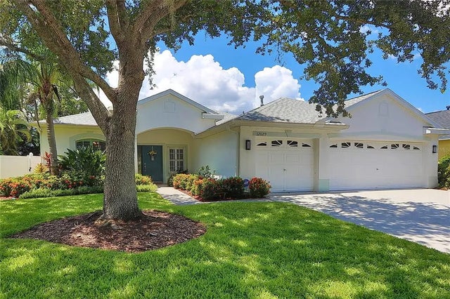 12029 Mountbatten Drive, TAMPA